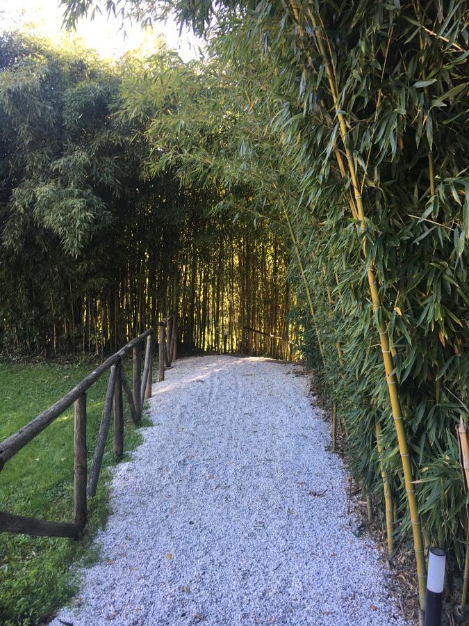 Villa La Bianca Camaiore Exteriör bild